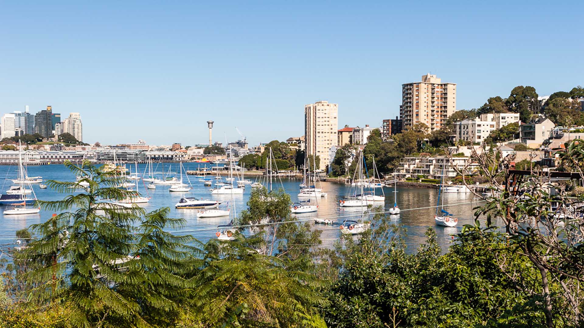 Sydney Lower North Shore harbour view